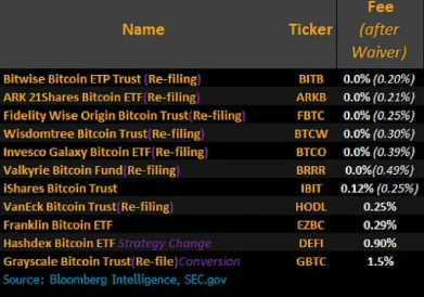 美SEC批准11只比特币现货ETF！-第3张图片-欧意易易下载