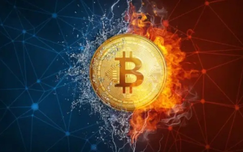 the币表现如何 是否值得投资-第2张图片-欧意易易下载
