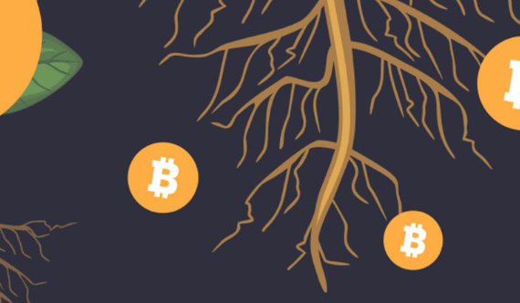 比特币生态铭文热度未必能持续-第1张图片-<a href=https://down.bestwheel.com.cn/bk/741.html target=_blank class=infotextkey><a href=https://down.bestwheel.com.cn/hq/60222.html target=_blank class=infotextkey><a href=https://down.bestwheel.com.cn/bk/741.html target=_blank class=infotextkey><a href=https://down.bestwheel.com.cn/hq/60222.html target=_blank class=infotextkey>欧意</a></a></a></a>易易下载