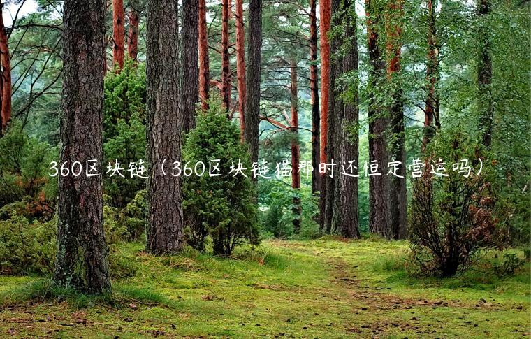 360<a href=https://down.bestwheel.com.cn/hq/723.html target=_blank class=infotextkey><a href=https://down.bestwheel.com.cn/hq/723.html target=_blank class=infotextkey>区块链</a></a>（360区块链猫那时还恒定营运吗）-第1张图片-binance下载