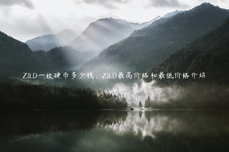 ZILD一枚硬币多少钱，ZILD最高价格和最低价格介绍-第1张图片-binance下载