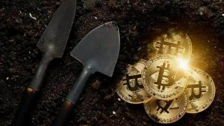 shib币今天价格(shib币今日的价格行情)-第1张图片-欧意易易下载