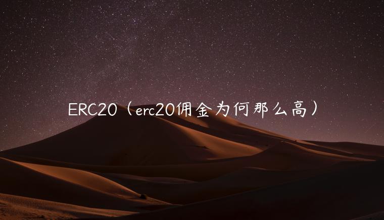 RC20（rc20佣金为何那么高）-第1张图片-binance下载