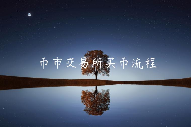 币市 交易平台买币流程-第1张图片-欧意易易下载