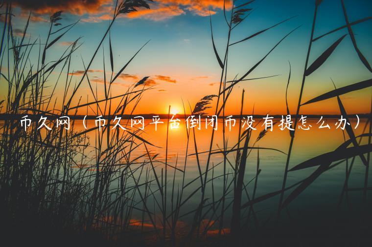 币久网（币久网平台倒闭币没有提怎么办）-第1张图片-binance下载