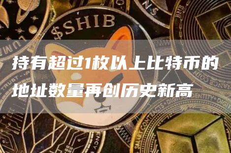 持有超过1枚以上比特币的地址数量再创历史新高-第1张图片-binance下载