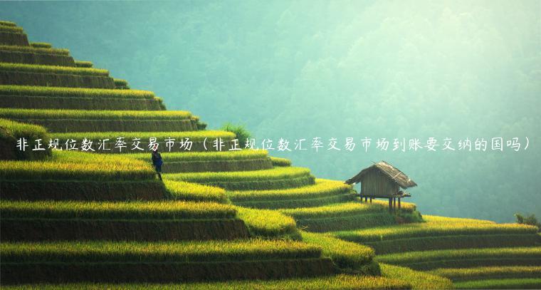 非正规位数汇率交易<a href=https://down.bestwheel.com.cn/kx/780.html target=_blank class=infotextkey><a href=https://down.bestwheel.com.cn/kx/780.html target=_blank class=infotextkey>市场</a></a>（非正规位数汇率交易市场到账要交纳的国吗）-第1张图片-binance下载