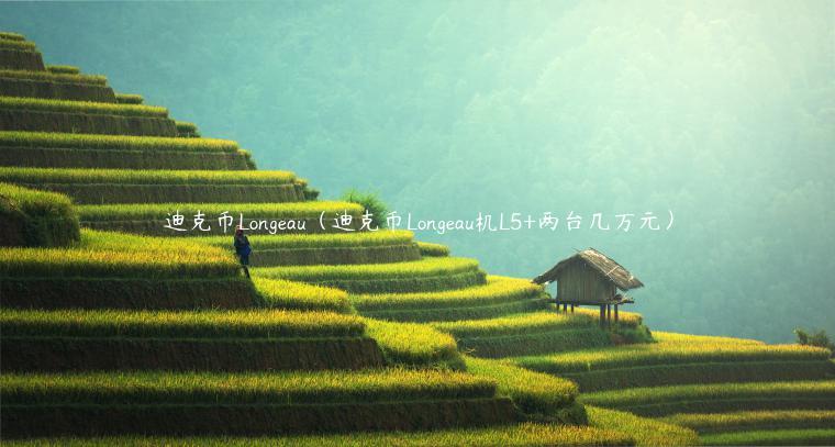 迪克币Longau（迪克币Longau机L5 两台几万元）-第1张图片-binance下载