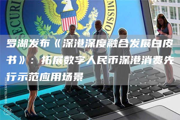 罗湖发布《深港深度融合发展白皮书》：拓展数字人民币深港消费先行示范应用场景1